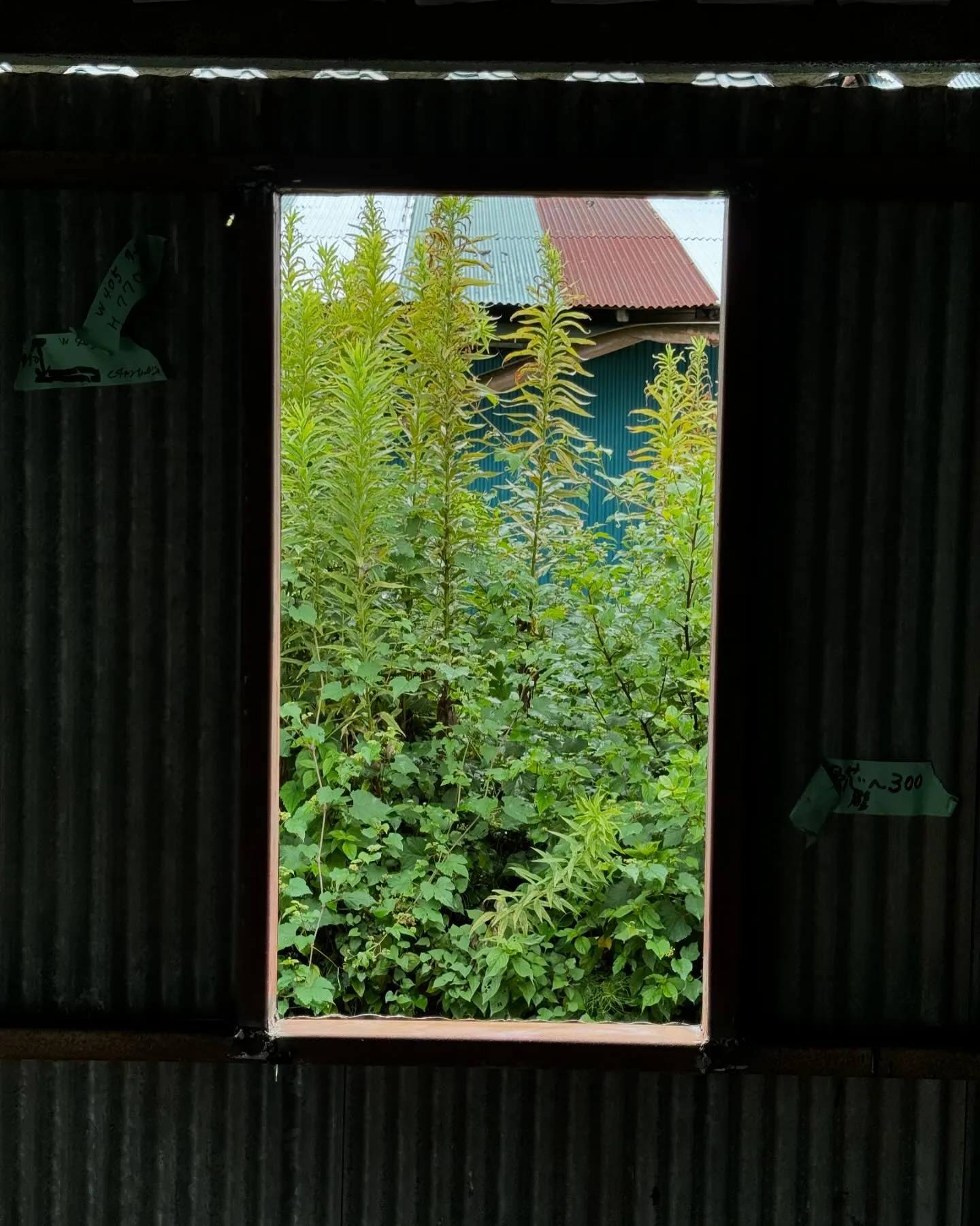 とんでもなく暑いですね🥵